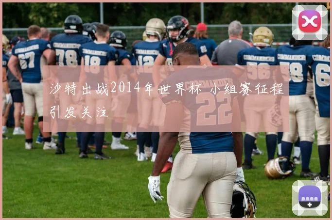 沙特出战2014年世界杯 小组赛征程引发关注