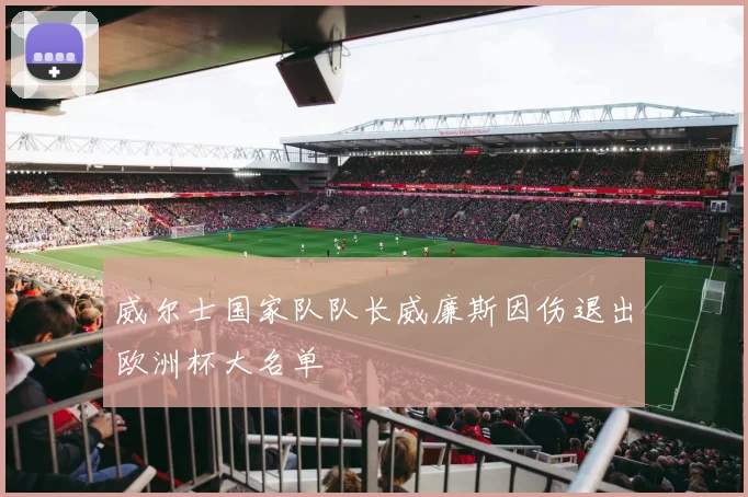 威尔士国家队队长威廉斯因伤退出欧洲杯大名单