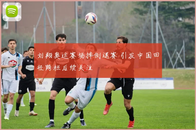 刘翔奥运赛场摔倒退赛 引发中国田径跨栏后续关注